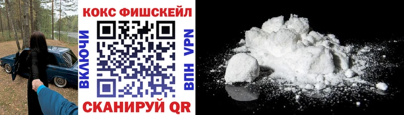 где купить наркотик  Новозыбков  Кокаин Fish Scale 