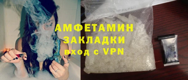 трава Гусиноозёрск