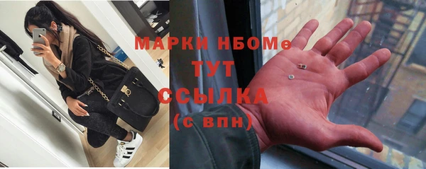 трава Гусиноозёрск