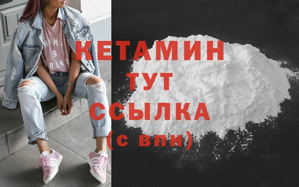 трава Гусиноозёрск