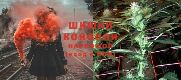 трава Гусиноозёрск