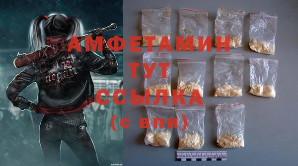 трава Гусиноозёрск