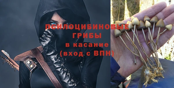 мет Гусев