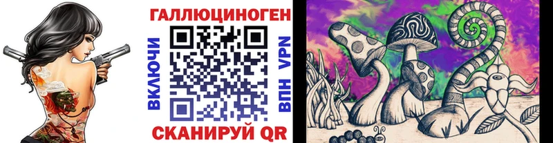 Галлюциногенные грибы Cubensis  закладки  Новозыбков 